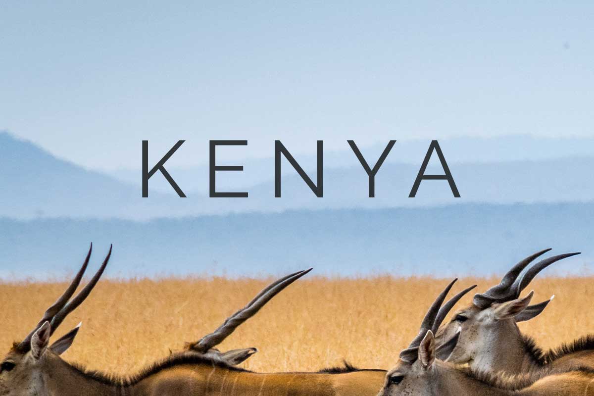 Kenia Kenia