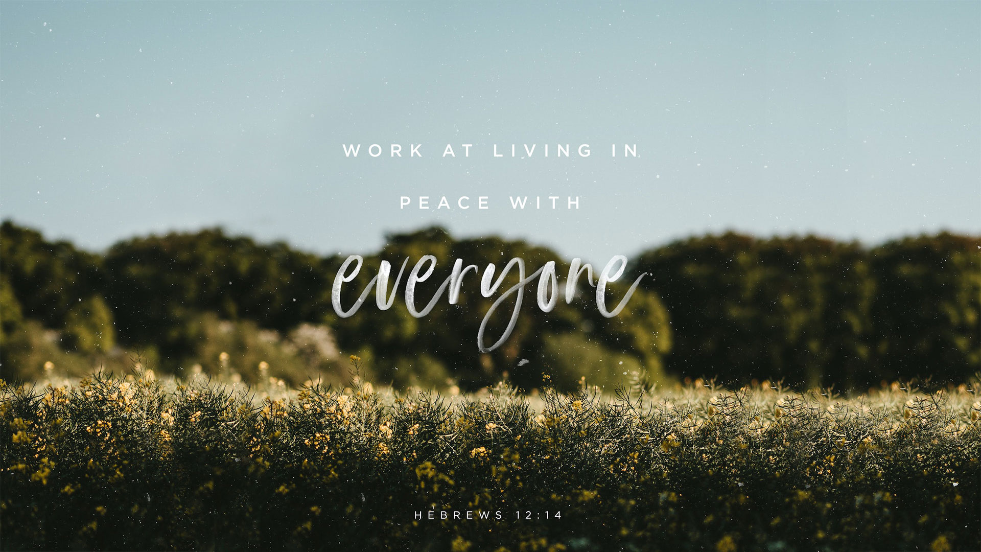 Work at living in peace with everyone.