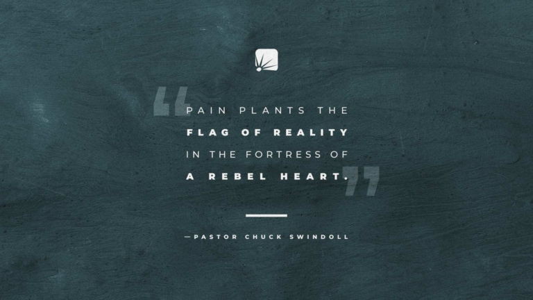 "Pain plants the flag of reality in the fortress of a rebel heart."