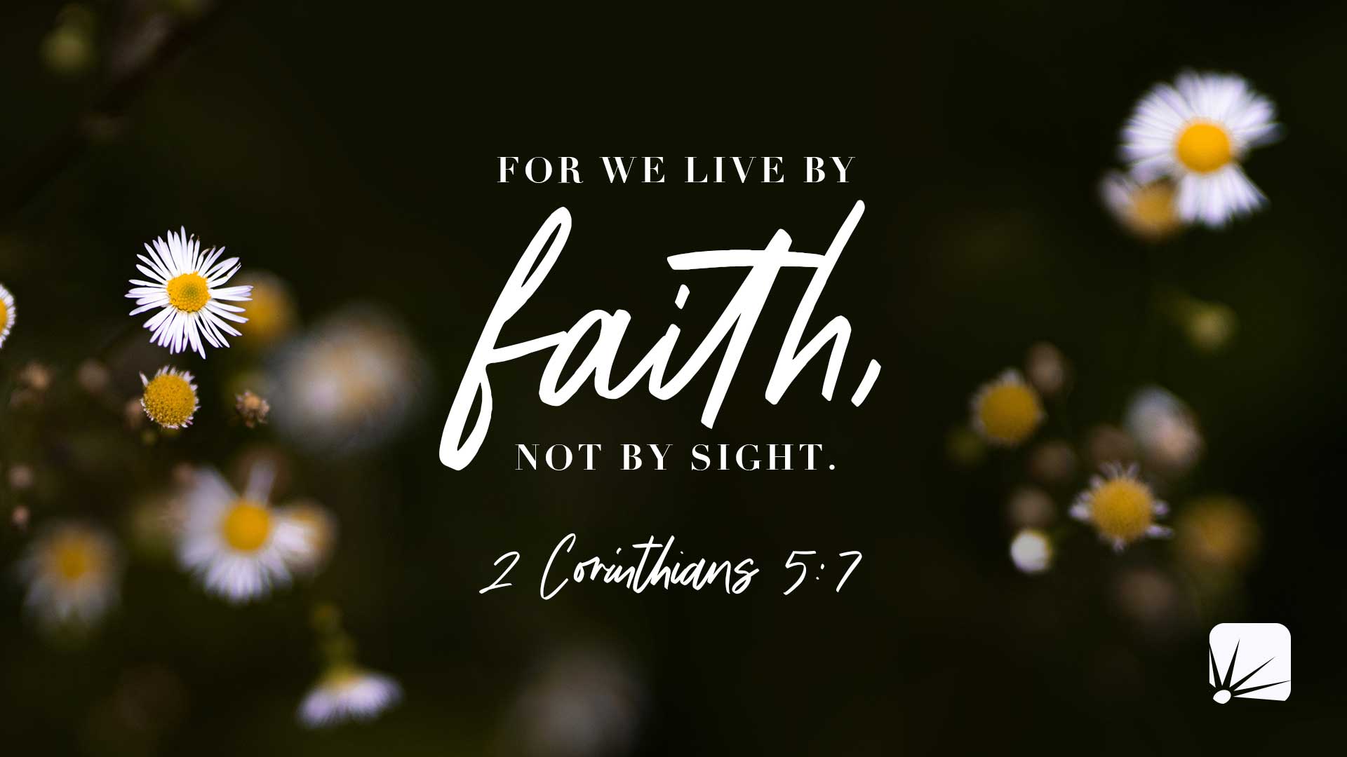 For we live by faith, not by sight. (2 Corinthians 5:7, NIV)