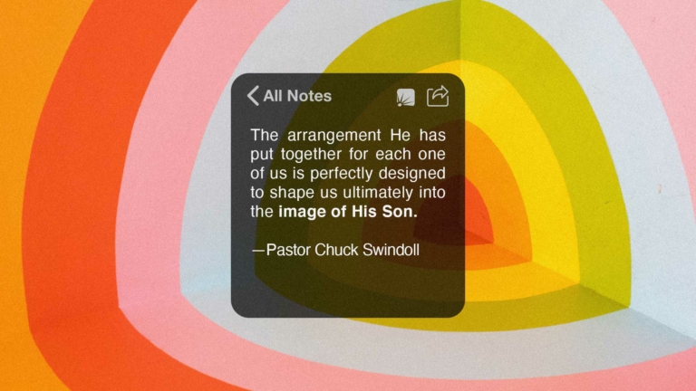 Swindoll quote: "The arrangement He has put together for each one of us is perfectly designed to shape us ultimately into the image of His Son."