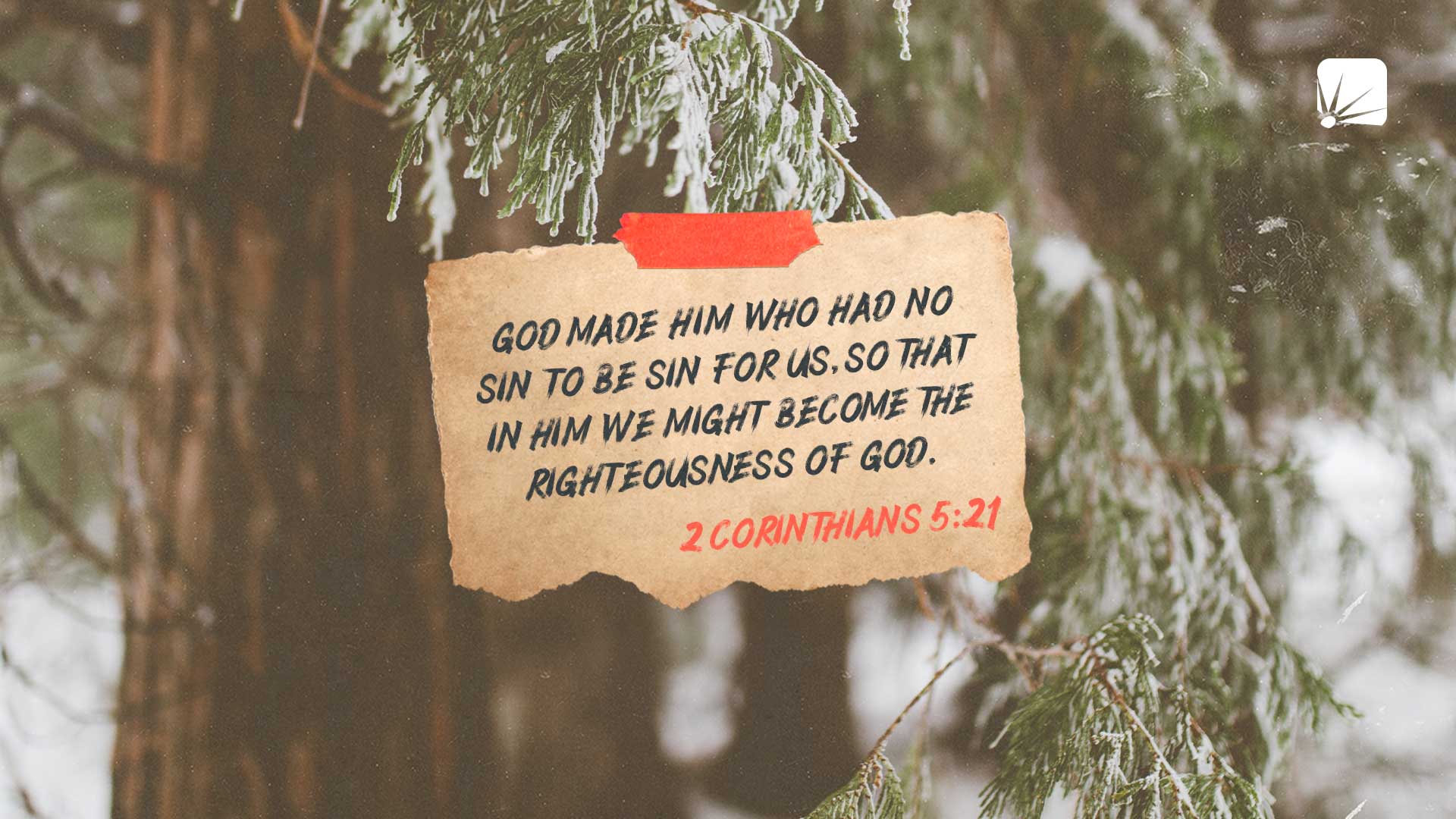 God made Him who had no sin to be sin for us, so that in Him we might become the righteousness of God. (2 Corinthians 5:21, NIV)