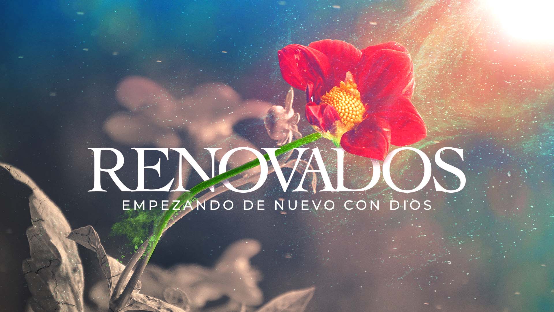 Renovados