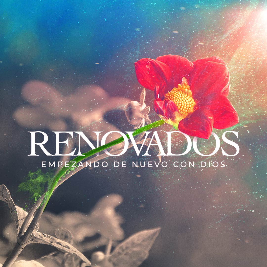 Renovados